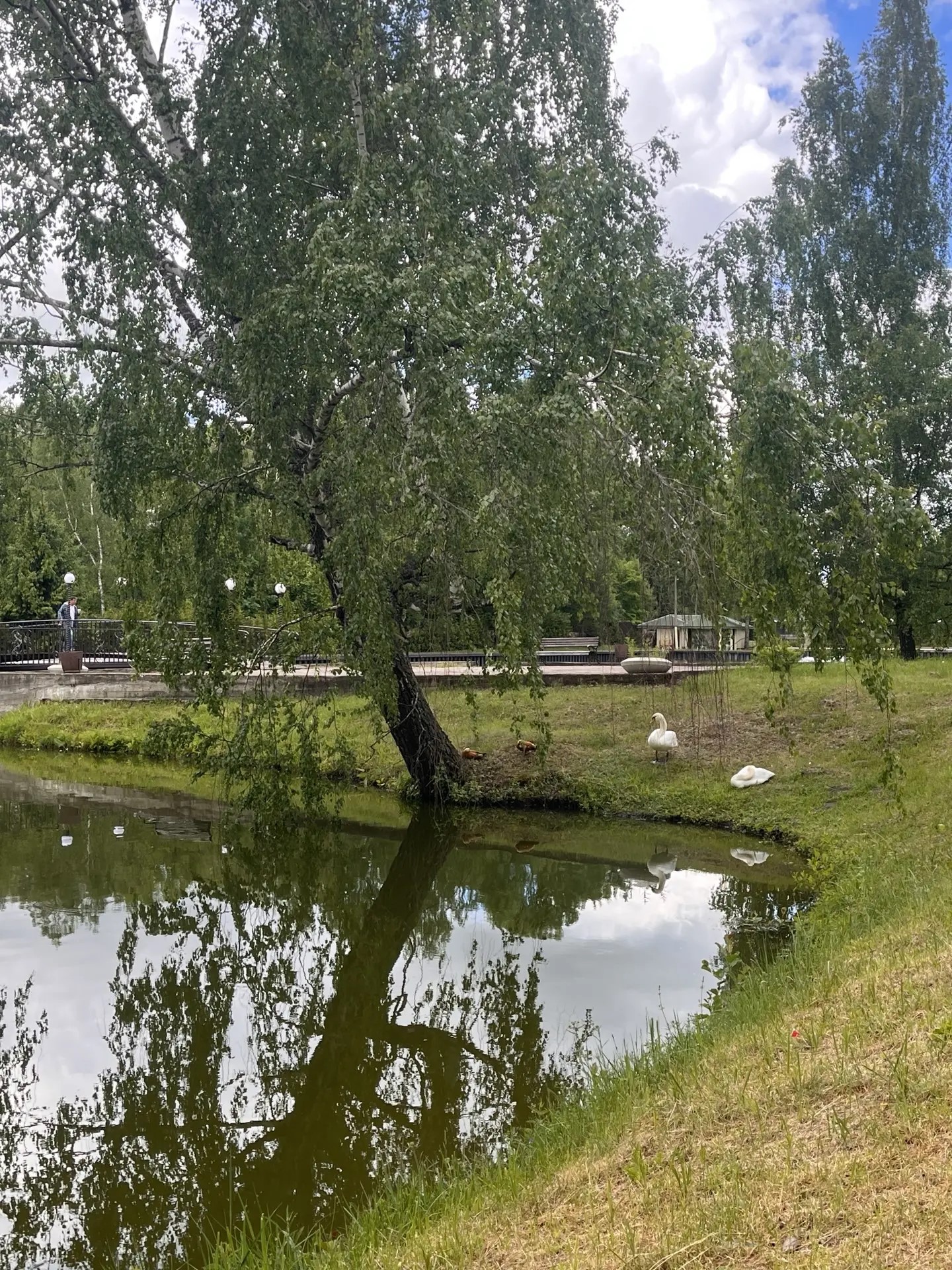 Фото 40 — Лесные Пруды